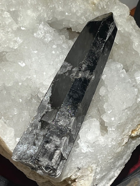 Mongolian Morion Quartz