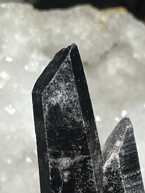 Mongolian Morion Quartz