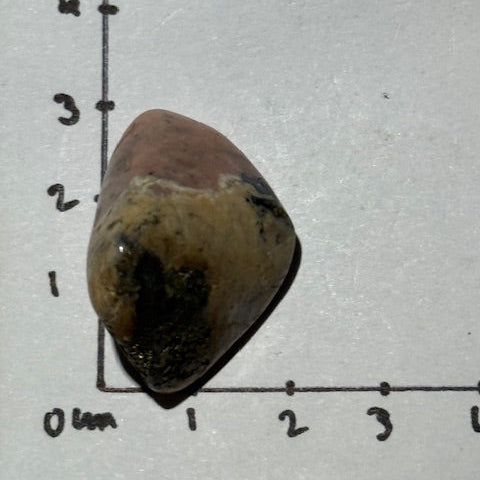 Triplite avec Wagnérite et Pyrite