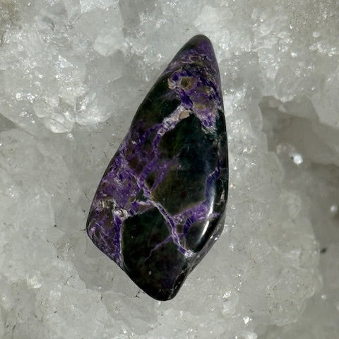 Stichtite avec Serpentine