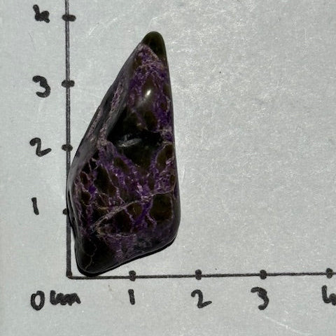 Stichtite avec Serpentine