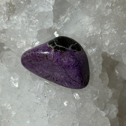 Stitchite with Serpentine