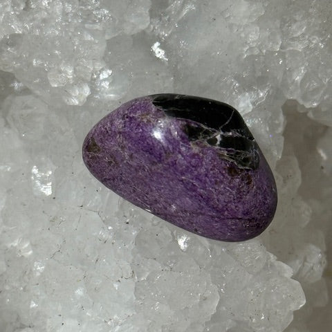 Stichtite avec Serpentine