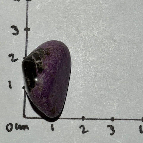 Stichtite avec Serpentine