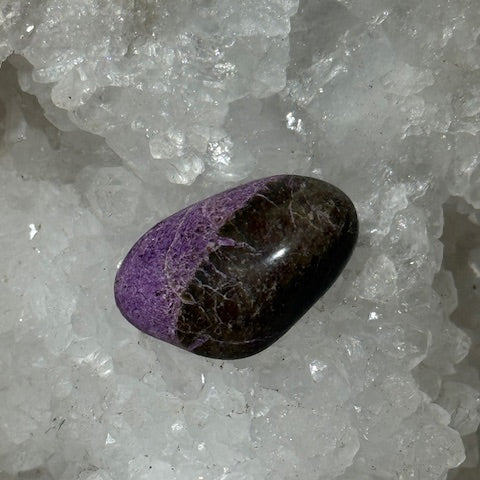 Stichtite avec Serpentine