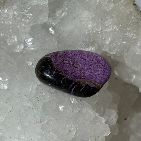 Stichtite avec Serpentine