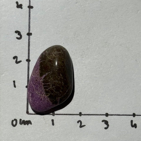 Stichtite avec Serpentine