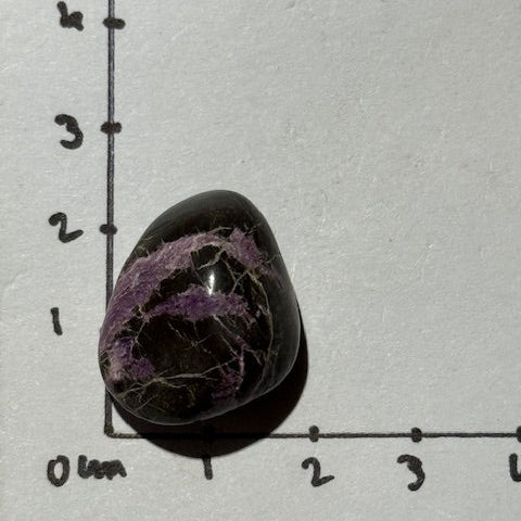 Stichtite avec Serpentine