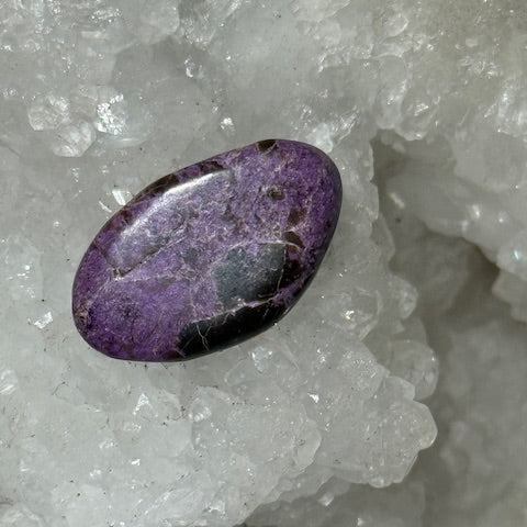 Stichtite avec Serpentine