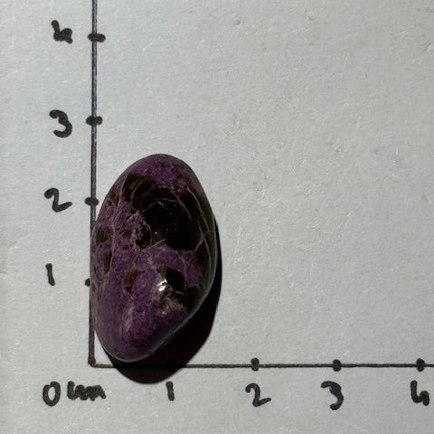 Stichtite avec Serpentine