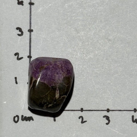 Stichtite avec Serpentine