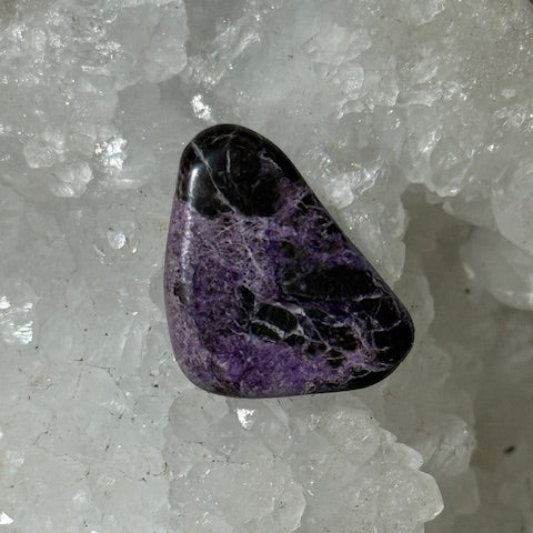 Stichtite avec Serpentine