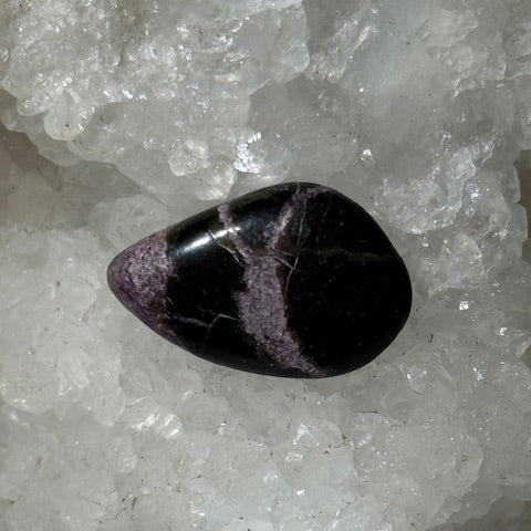 Stichtite avec Serpentine