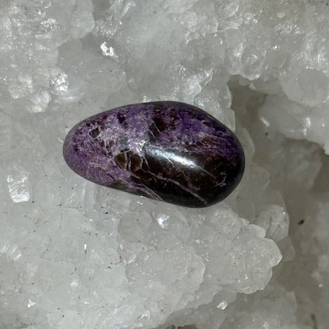 Stichtite avec Serpentine