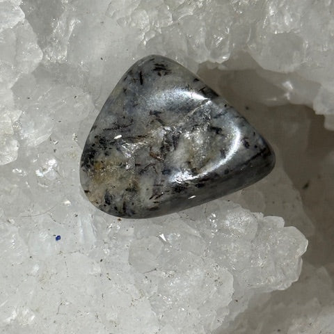 Astrophyllite