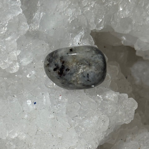 Astrophyllite