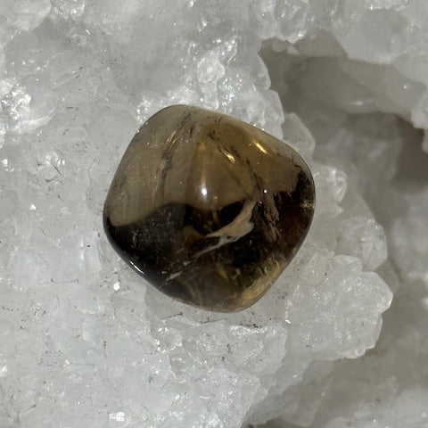 Citrine Naturelle Oasis de Cristal