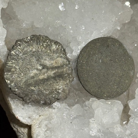 Pinas (Isis & Osiris) 