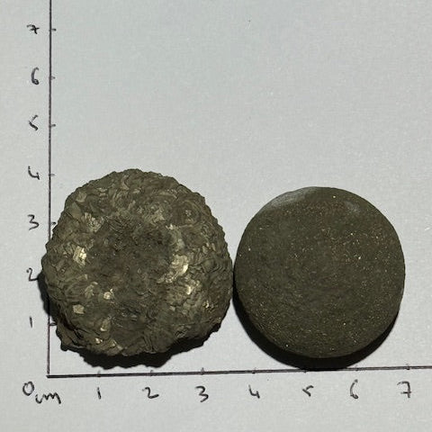 Pinas (Isis & Osiris) 