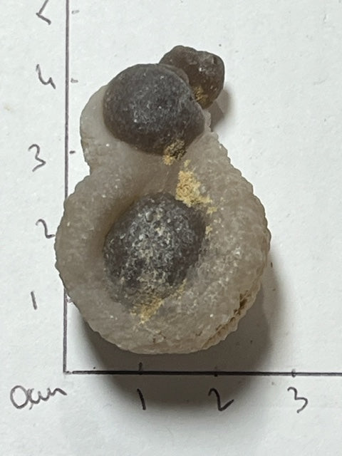 Botryoidal black chalcedony