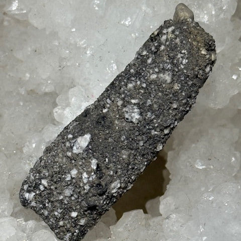 Fulgurite Racine Noire Joshua