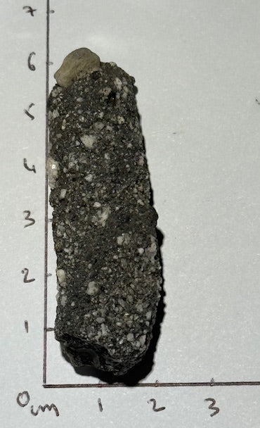 Fulgurite Racine Noire Joshua