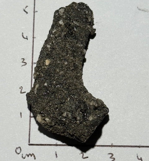 Fulgurite Racine Noire Joshua