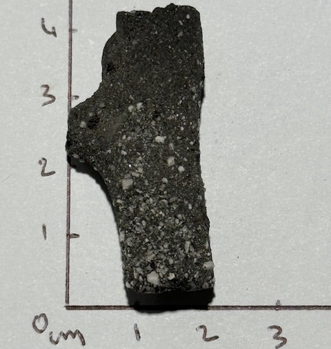 Fulgurite Racine Noire Joshua