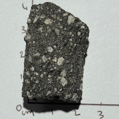 Fulgurite Racine Noire Joshua