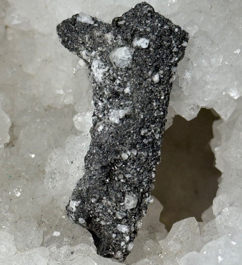 Fulgurite Racine Noire Joshua