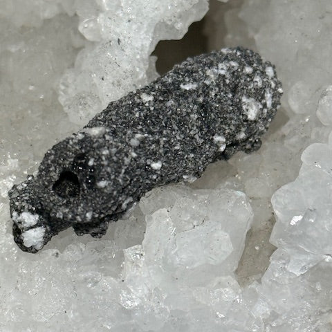 Fulgurite Racine Noire Joshua