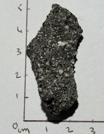 Fulgurite Racine Noire Joshua