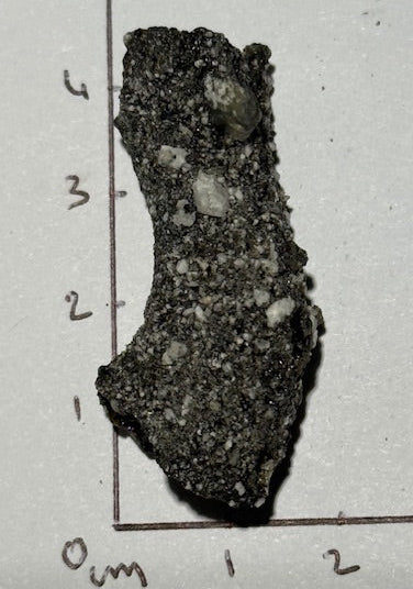Fulgurite Racine Noire Joshua