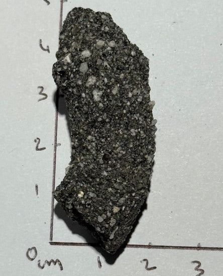 Fulgurite Racine Noire Joshua