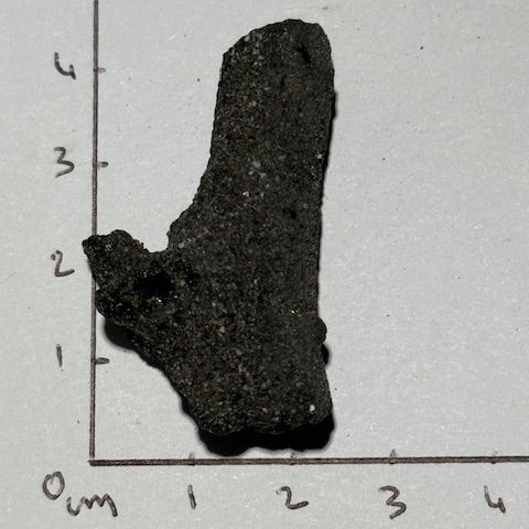 Fulgurite Racine Noire Joshua