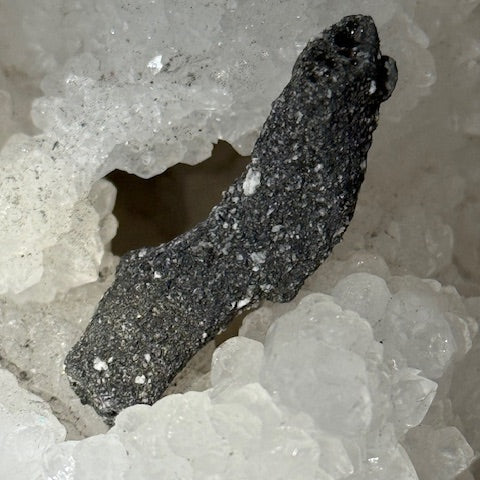 Fulgurite Racine Noire Joshua