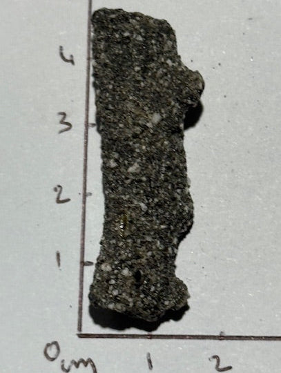 Fulgurite Racine Noire Joshua