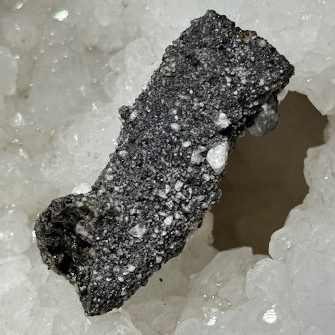 Fulgurite Racine Noire Joshua