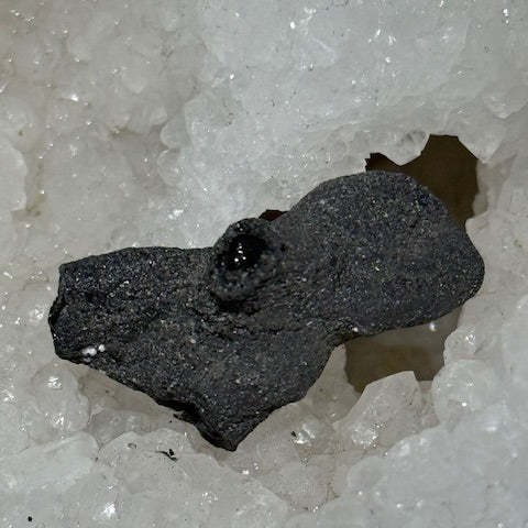 Fulgurite Racine Noire Joshua