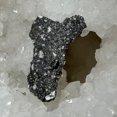 Fulgurite Racine Noire Joshua