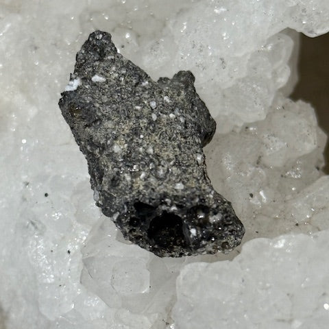 Fulgurite Racine Noire Joshua