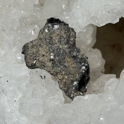 Fulgurite Racine Noire Joshua