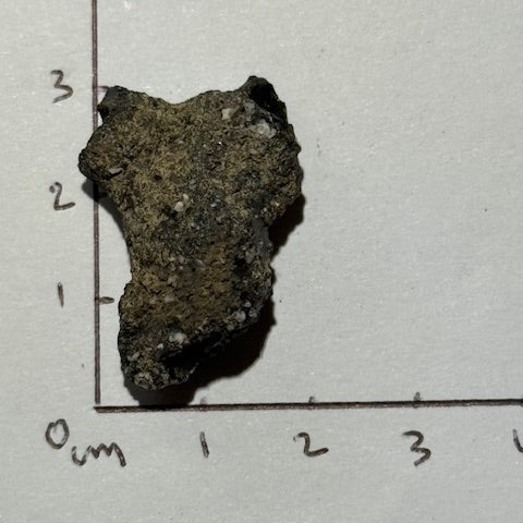 Fulgurite Racine Noire Joshua