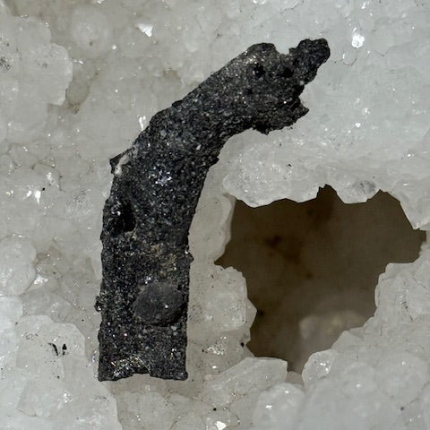 Fulgurite Racine Noire Joshua