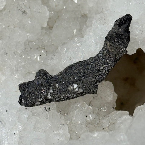 Fulgurite Racine Noire Joshua