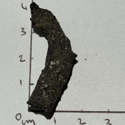 Fulgurite Racine Noire Joshua