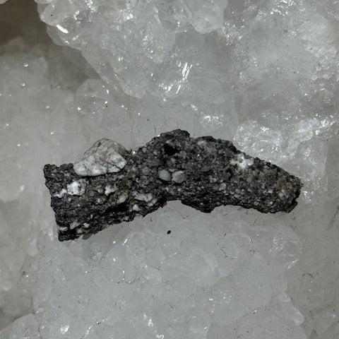 Fulgurite Racine Noire Joshua