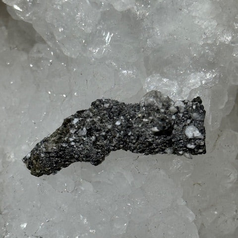 Fulgurite Racine Noire Joshua