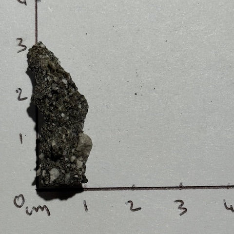 Fulgurite Racine Noire Joshua