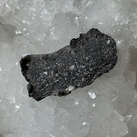 Fulgurite Racine Noire Joshua